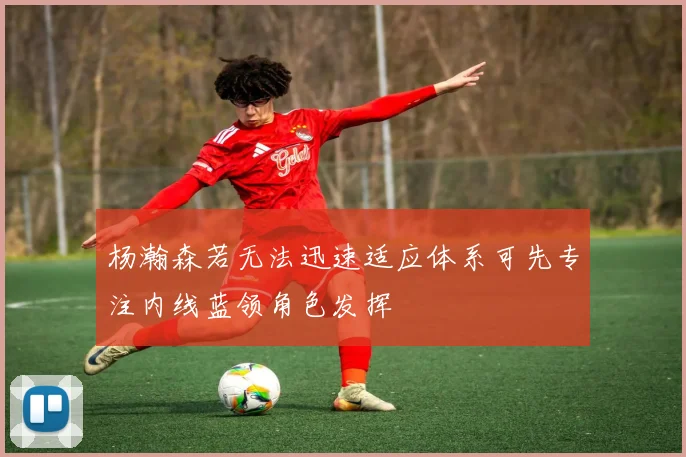 杨瀚森若无法迅速适应体系可先专注内线蓝领角色发挥
