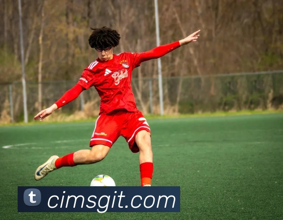 华体官方登录入口全站App
